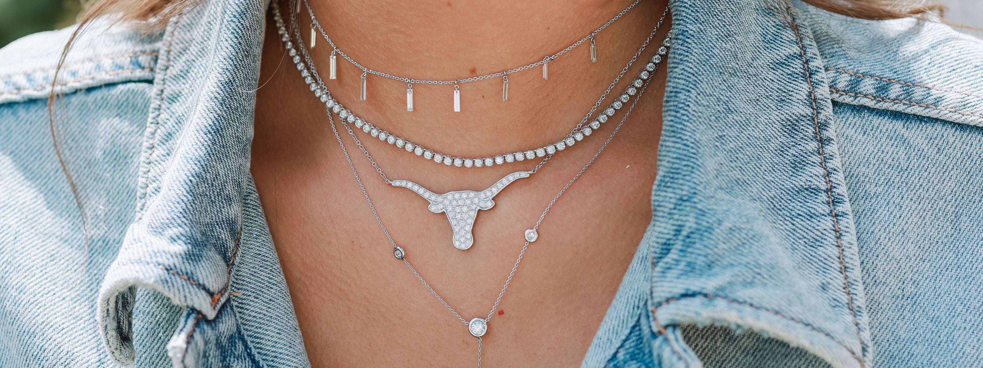 Longhorn Collection