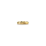 Hammered Anthony Band