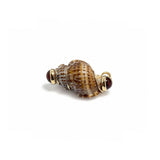 Citrine & Brown Shell Charm
