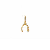 Diamond Wishbone Charm