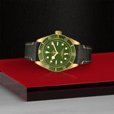 TUDOR Black Bay 58 18K