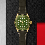 TUDOR Black Bay 58 18K