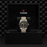 TUDOR Black Bay S&G