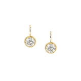 Arielle Diamond Drop Earrings