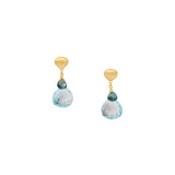Paradise Collection Blue Topaz Drop Earrings