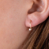 Mini Ara Hoops