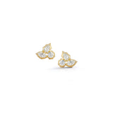 Diamond Posey Cluster Studs