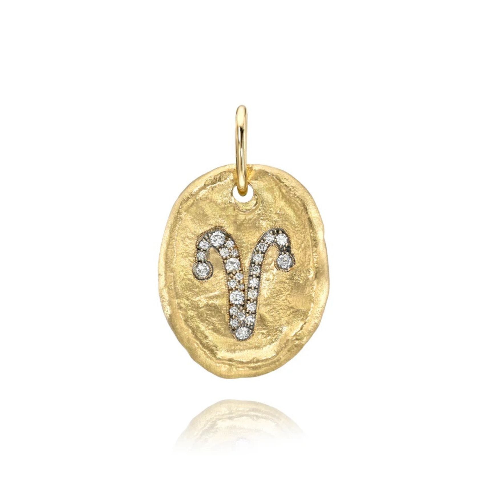Hammered Oval Zodiac Charm