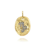 Hammered Oval Zodiac Charm