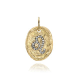 Hammered Oval Zodiac Charm
