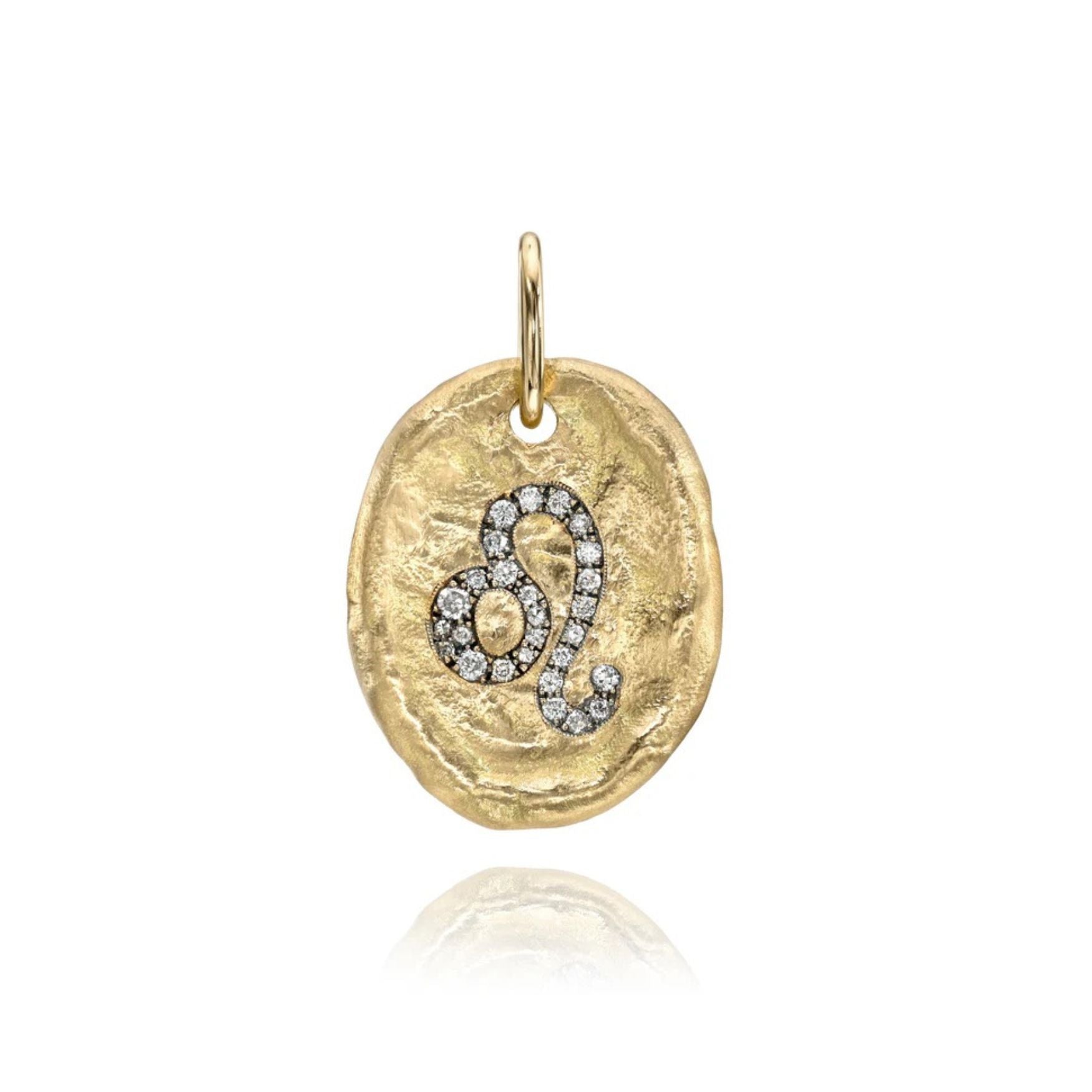 Hammered Oval Zodiac Charm