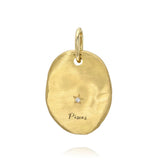 Hammered Oval Zodiac Charm