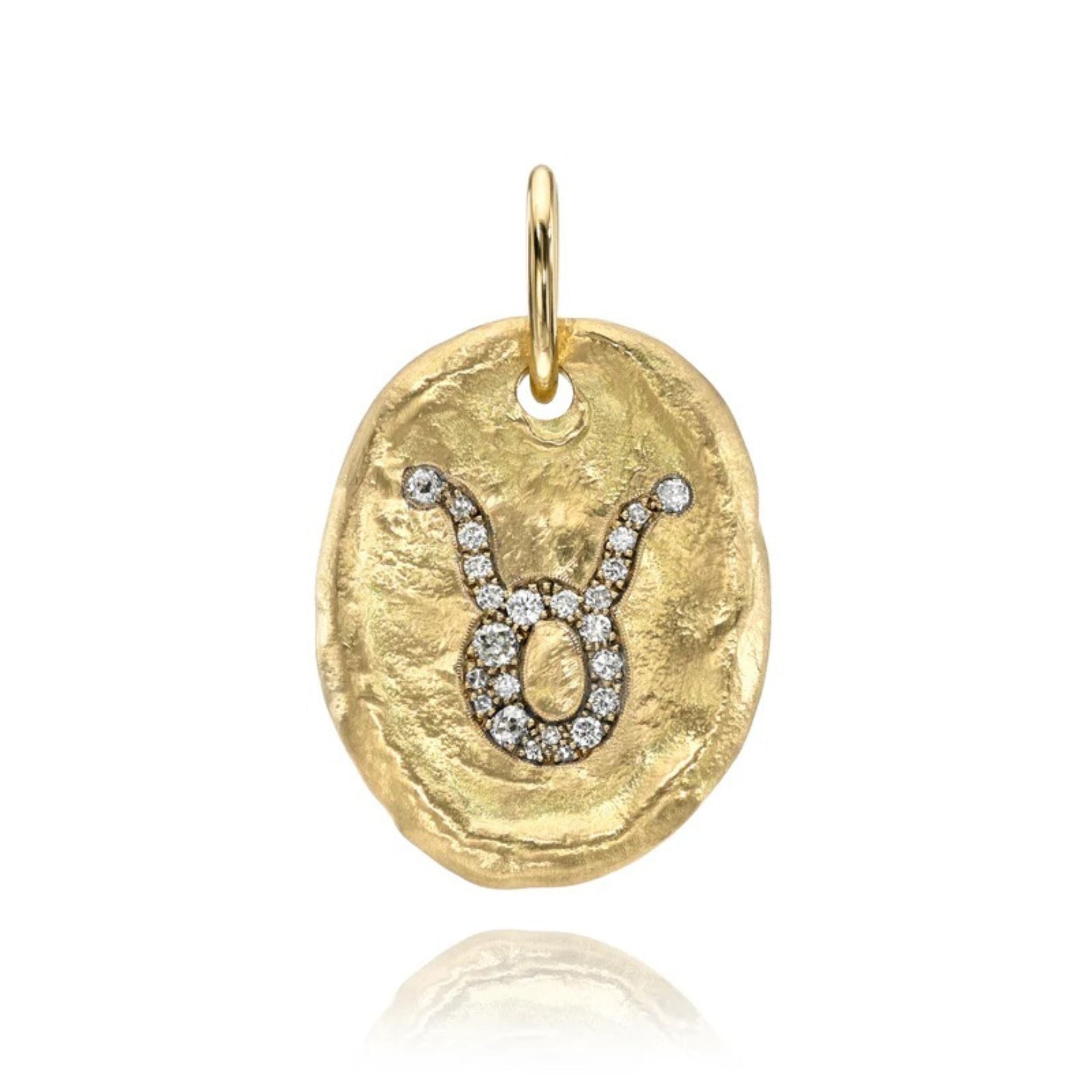 Hammered Oval Zodiac Charm
