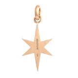 Storrow 14kt Yellow Gold and Diamond Large Stella Pendant