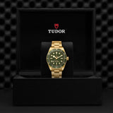 TUDOR Black Bay 58 18K