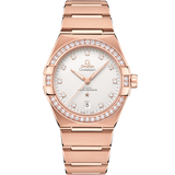 39 mm, Sedna™ gold on Sedna™ gold