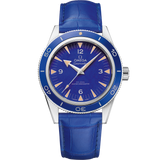 41 mm, platinum on leather strap